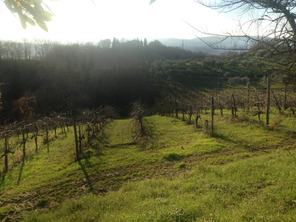 Podere San Lorenzo Terranuova Bracciolini Ngoại thất bức ảnh